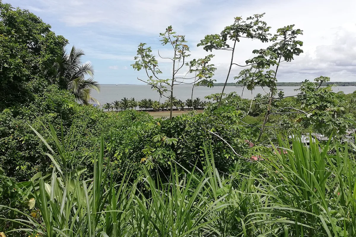 Mudanzas Popayán–Buenaventura — ruta hacia el Pacífico