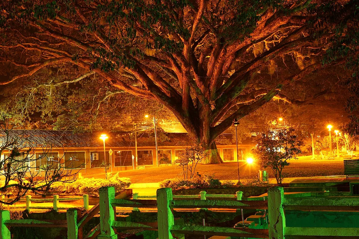 Santander de Quilichao, Cauca — empresa de mudanzas